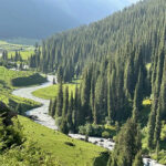 туры в ала арча